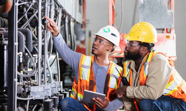 Best 24-Hour Electrician  in Elgin, MN